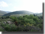 Biotop in Griechenland